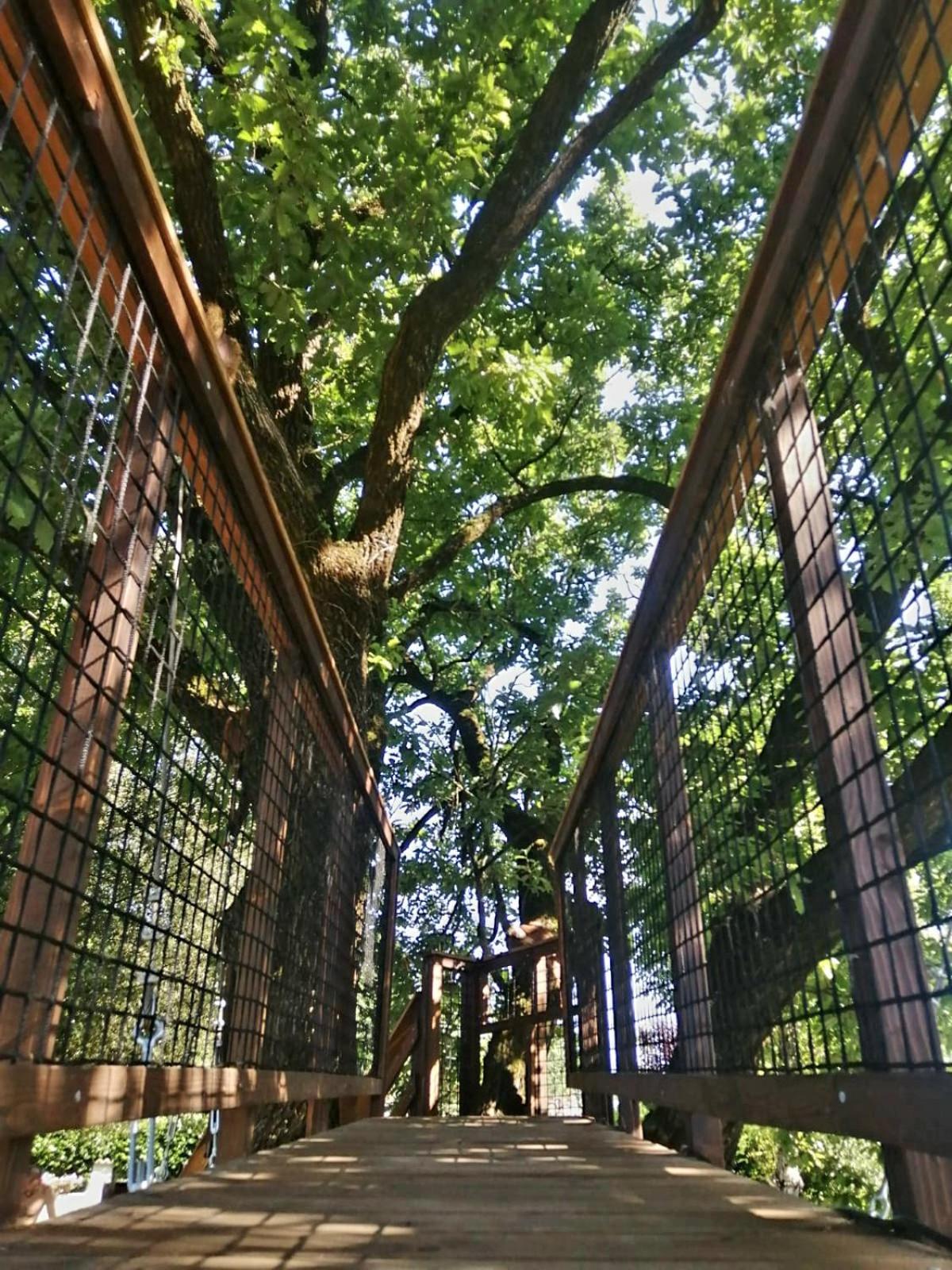 B&B Colle Di Terria Country House Contigliano エクステリア 写真