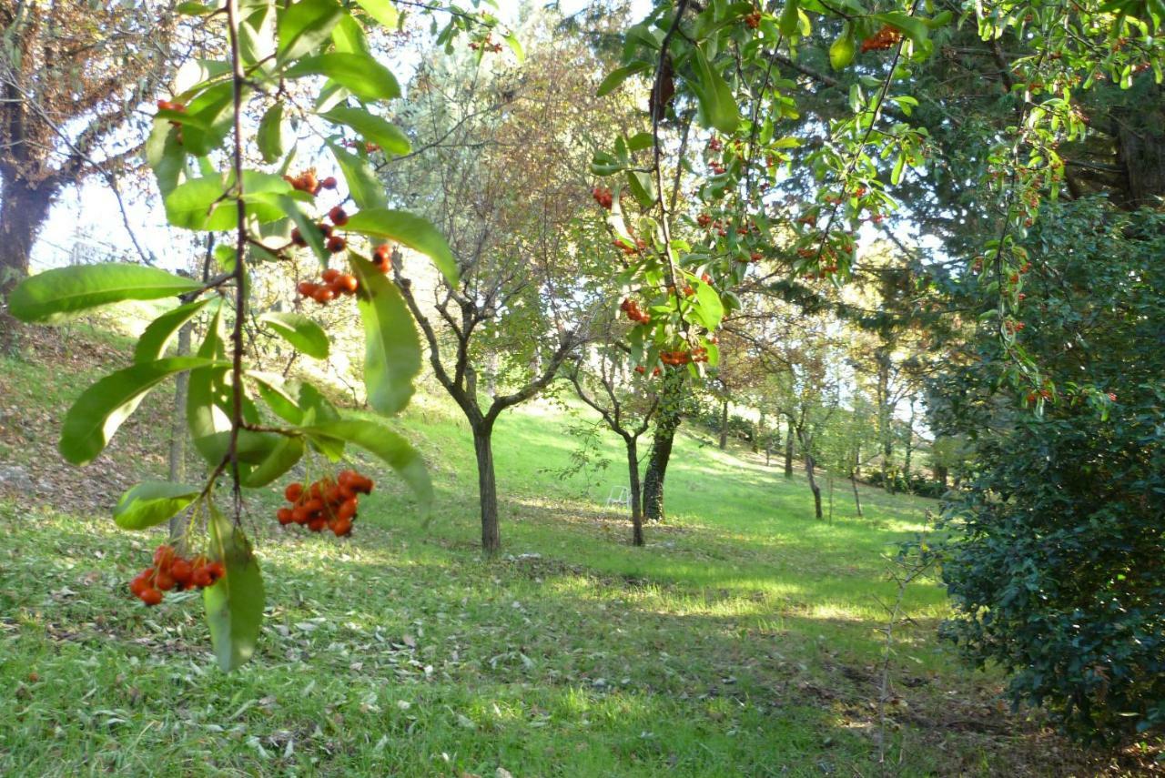 B&B Colle Di Terria Country House Contigliano エクステリア 写真